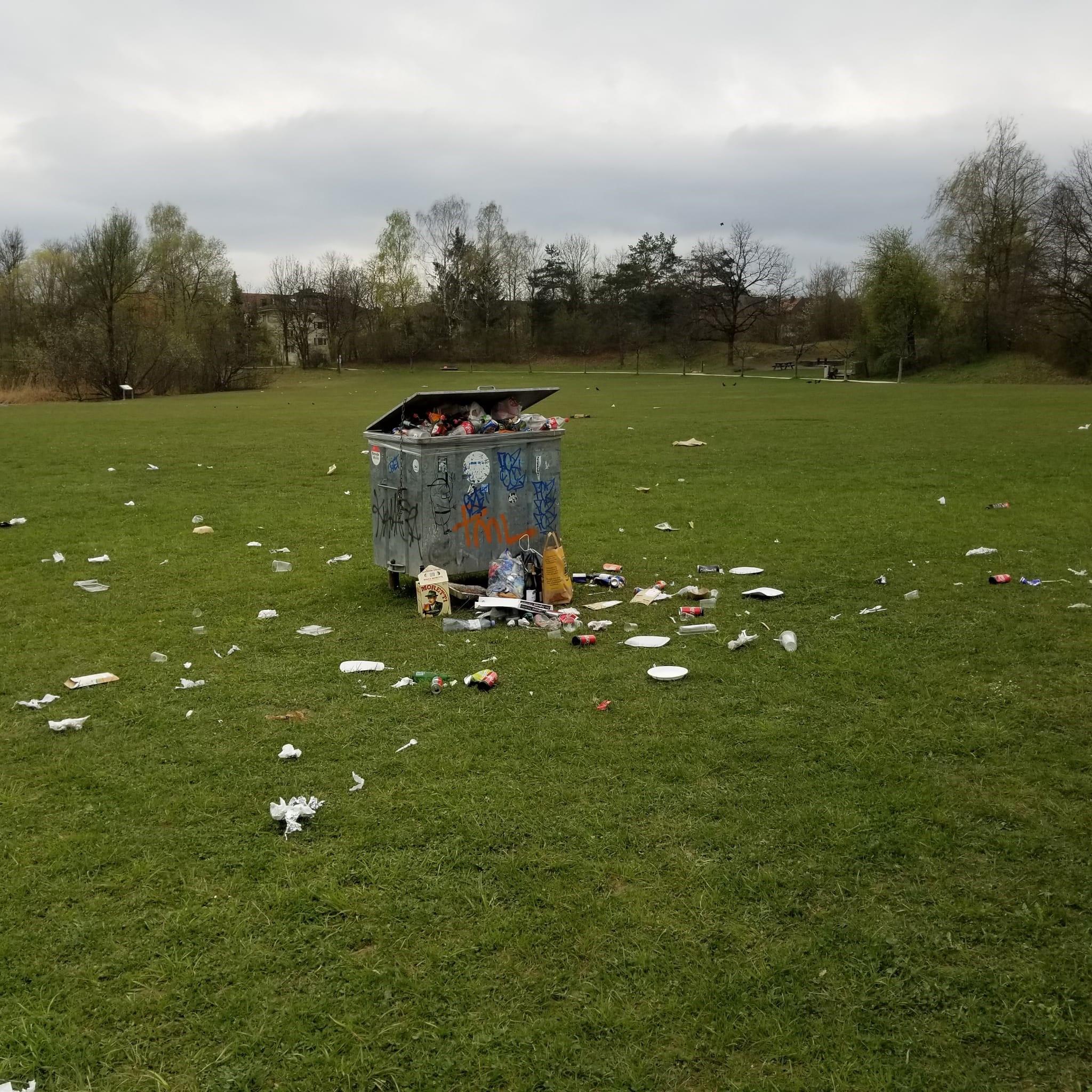 Partylittering Wiese Irchelweiher